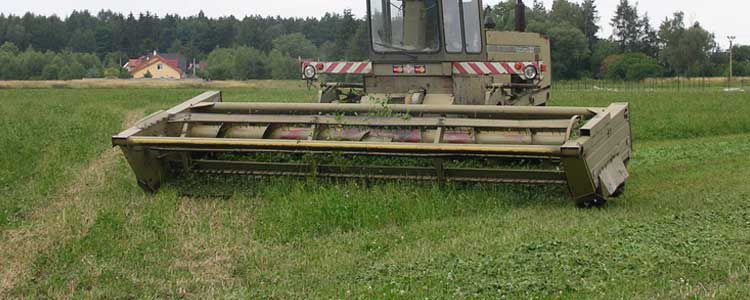 Жоңышқаны шабу уақыты, шапқылар саны және суару кеңестері