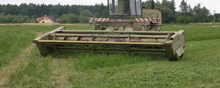 Жоңышқаны шабу уақыты, шапқылар саны және суару кеңестері