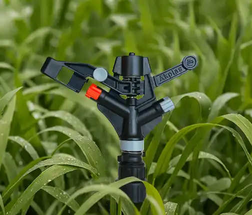 СУАРТУ ЖҮЙЕСІ